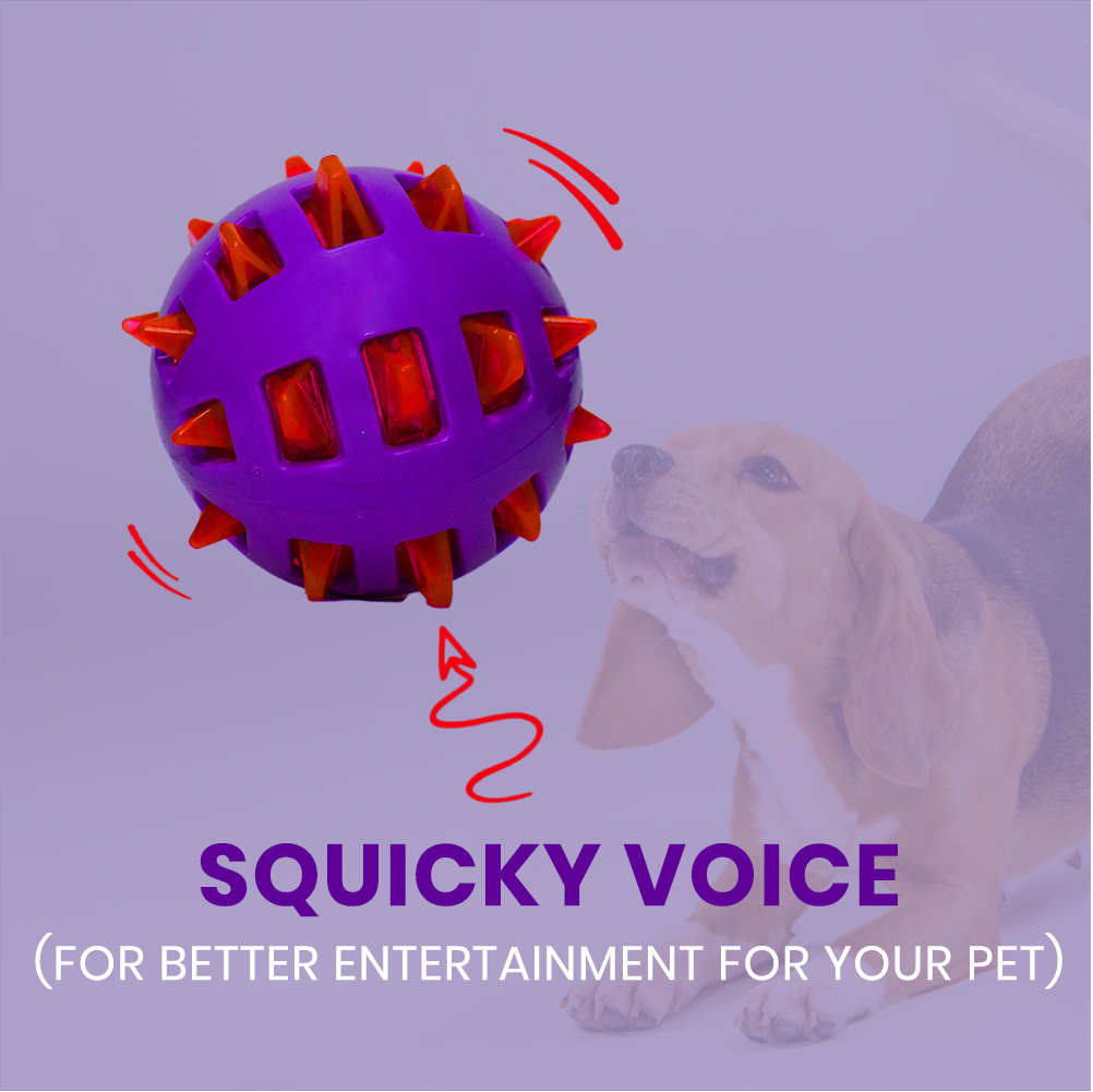 Basil Squeaky Rubber Ball Toy for Dogs