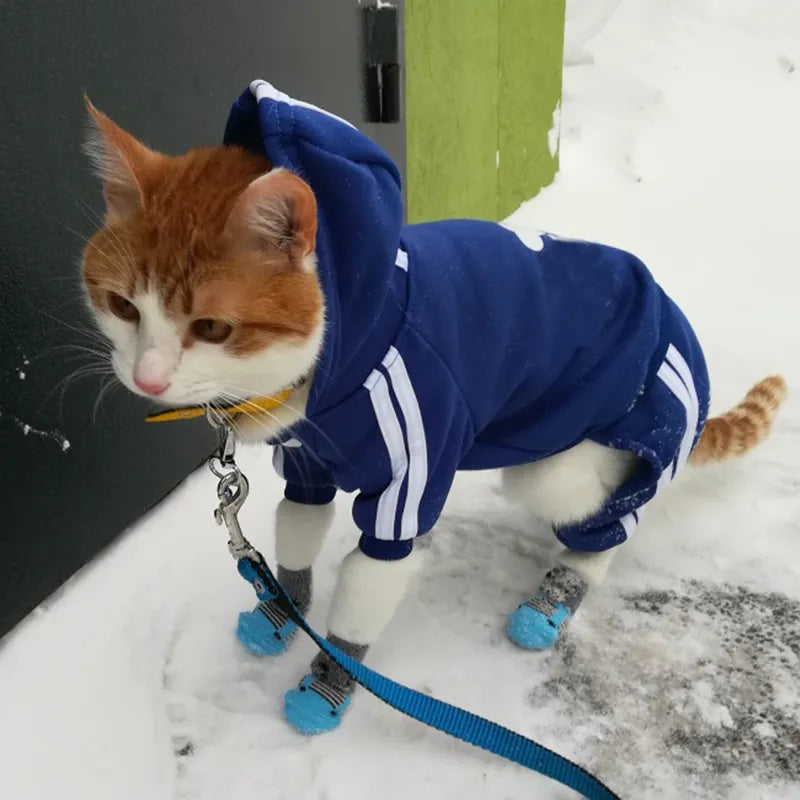 Cute Cat Sweater Hoodie