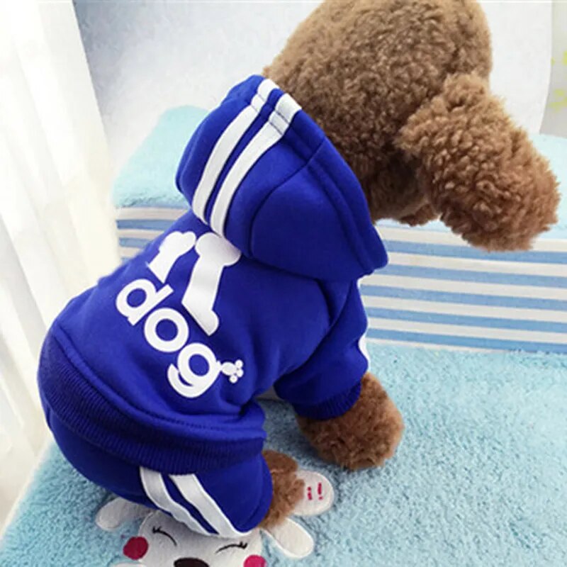 Cute Cat Sweater Hoodie