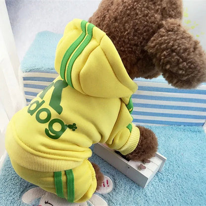 Cute Cat Sweater Hoodie