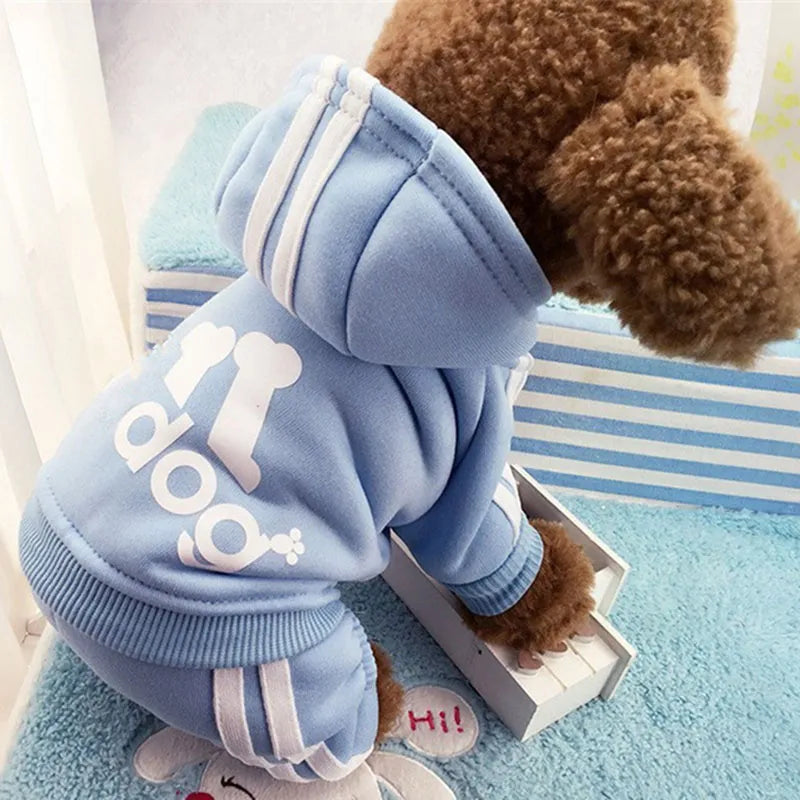 Cute Cat Sweater Hoodie
