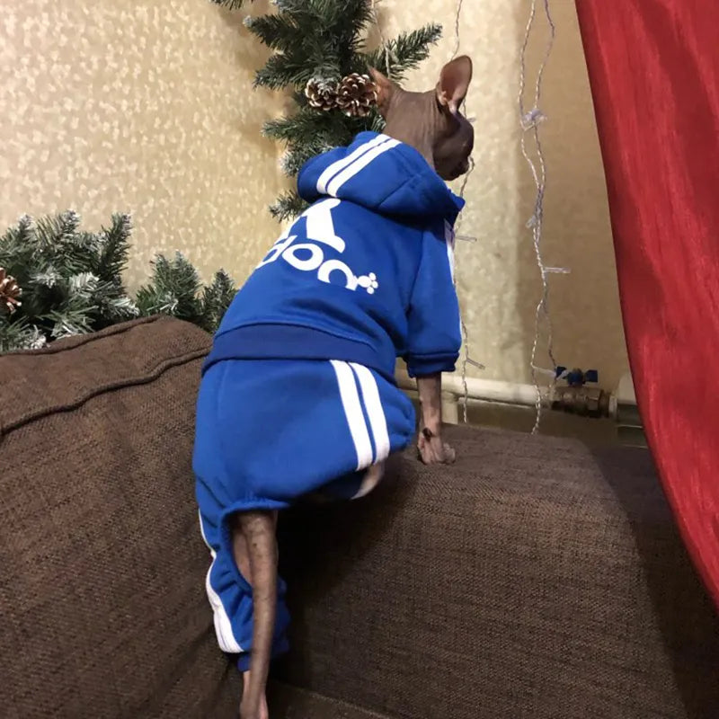 Cute Cat Sweater Hoodie