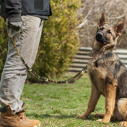 Strong Dog Military Tactical Collar