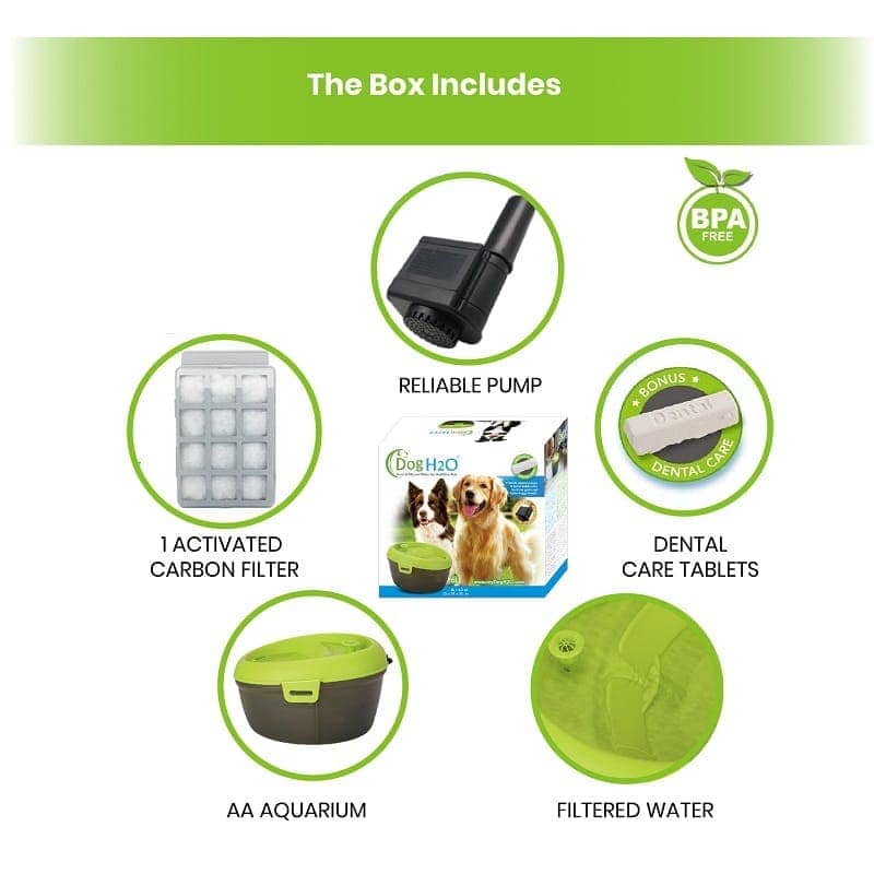 Automatic Cat Water Dispenser with dental care