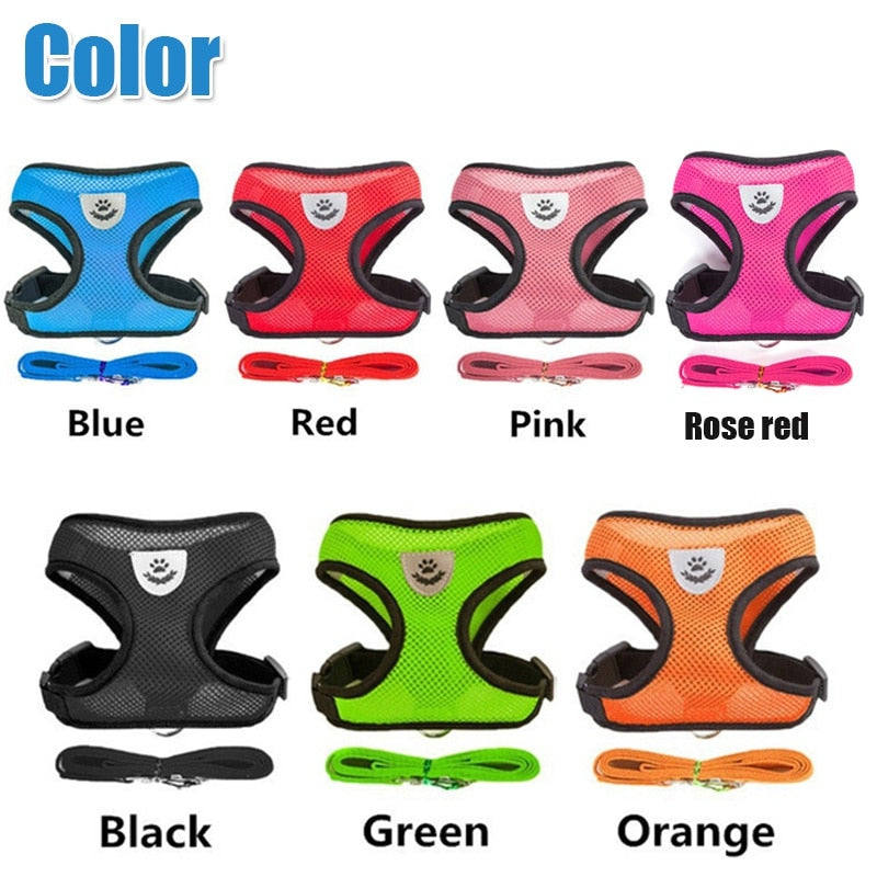 Peet Harness with Lead Leash