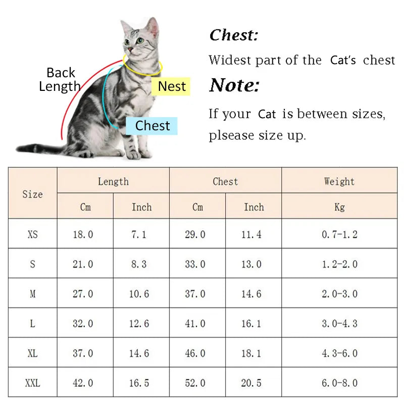 Cute Cat Sweater Hoodie