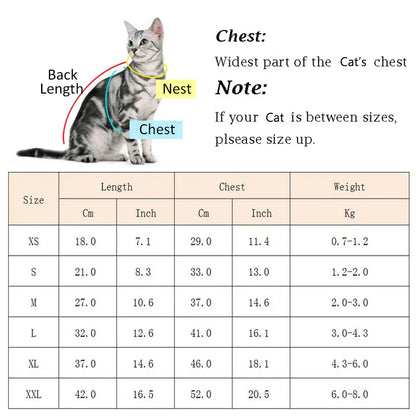 Cute Cat Sweater Hoodie