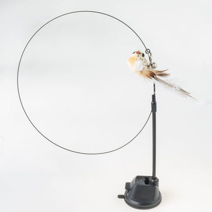 Handfeed Bird/Feather Pet Toys