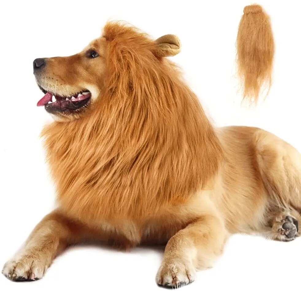 Cute Pet Dog Cosplay Clothes