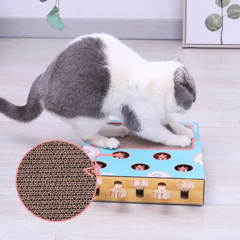 Cat Playing Toy