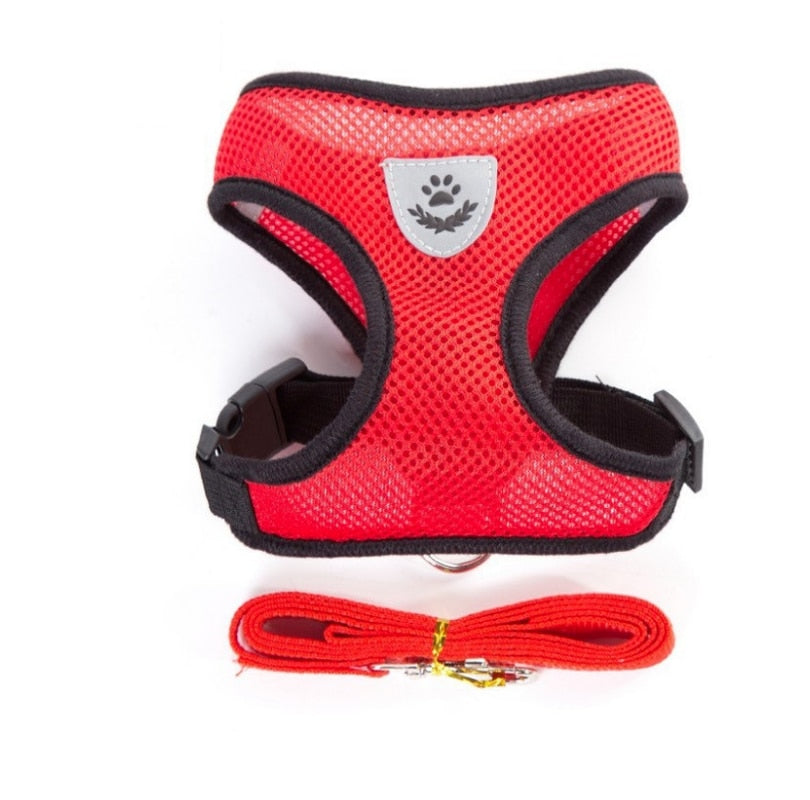 Peet Harness with Lead Leash