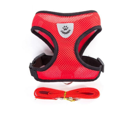 Peet Harness with Lead Leash