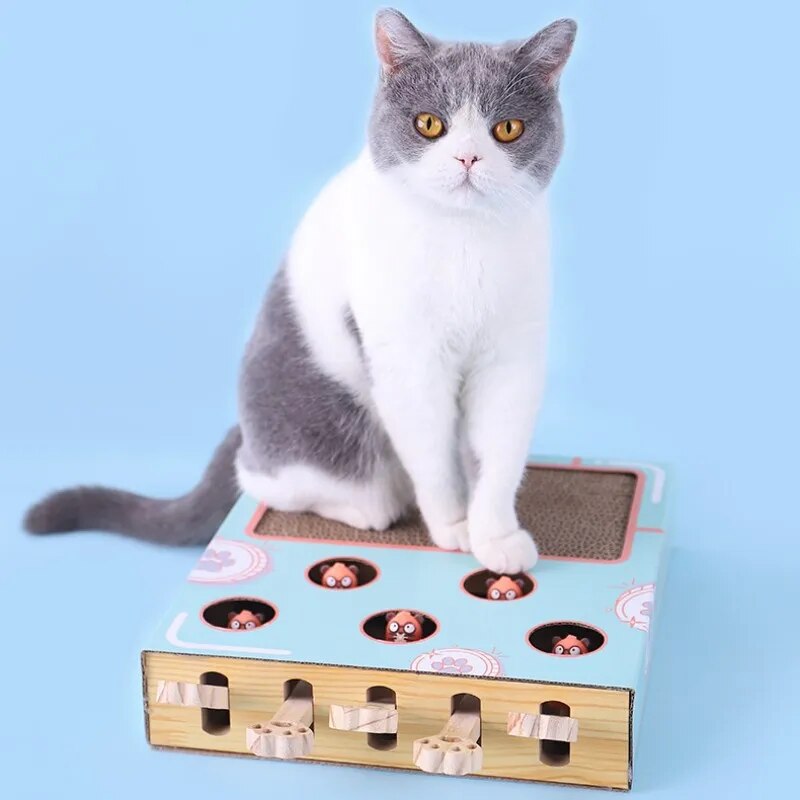 Cat Playing Toy
