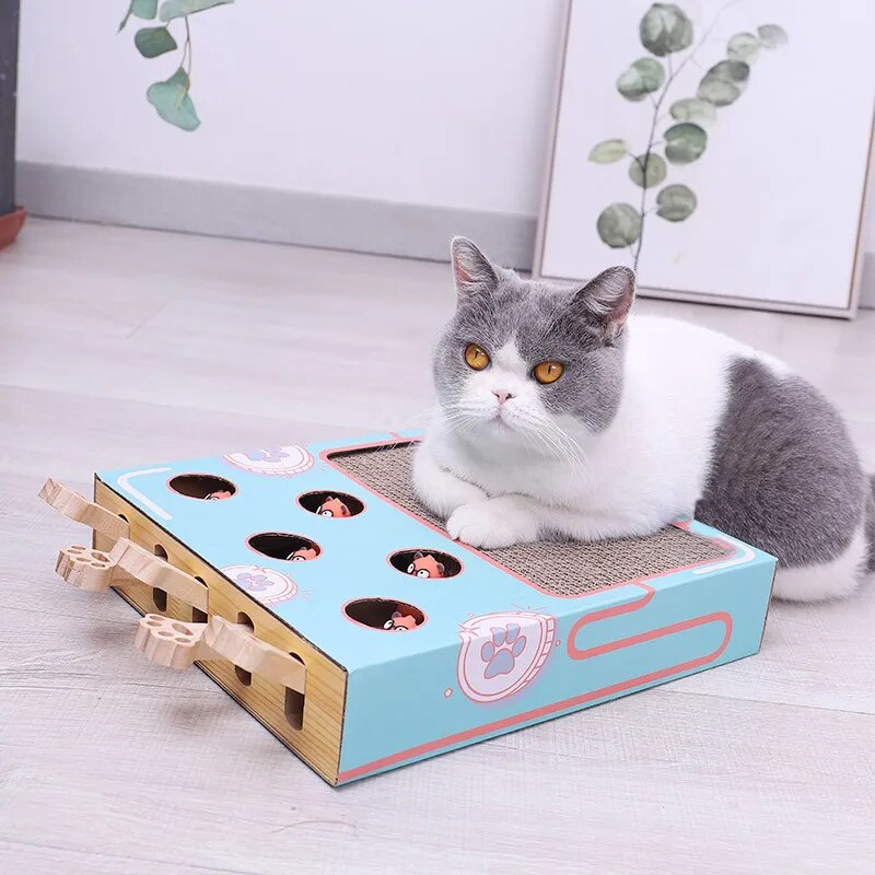 Cat Playing Toy