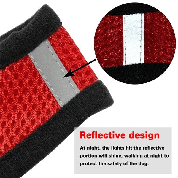 Peet Harness with Lead Leash