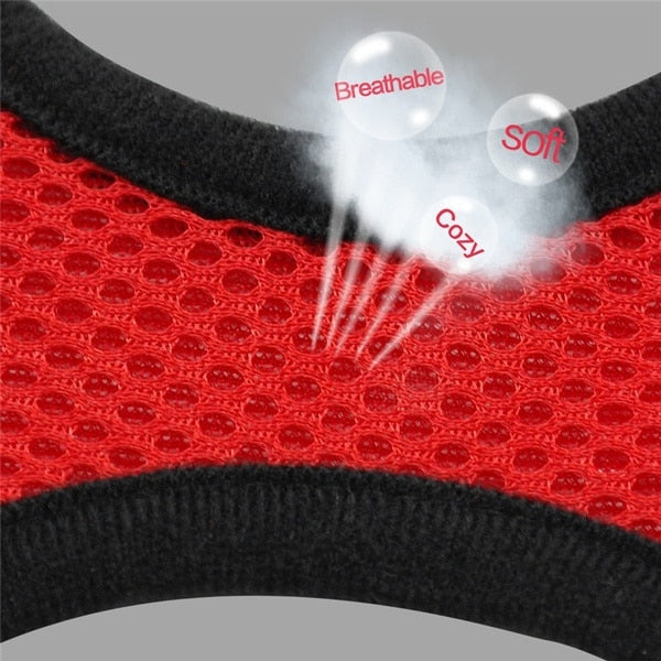 Peet Harness with Lead Leash