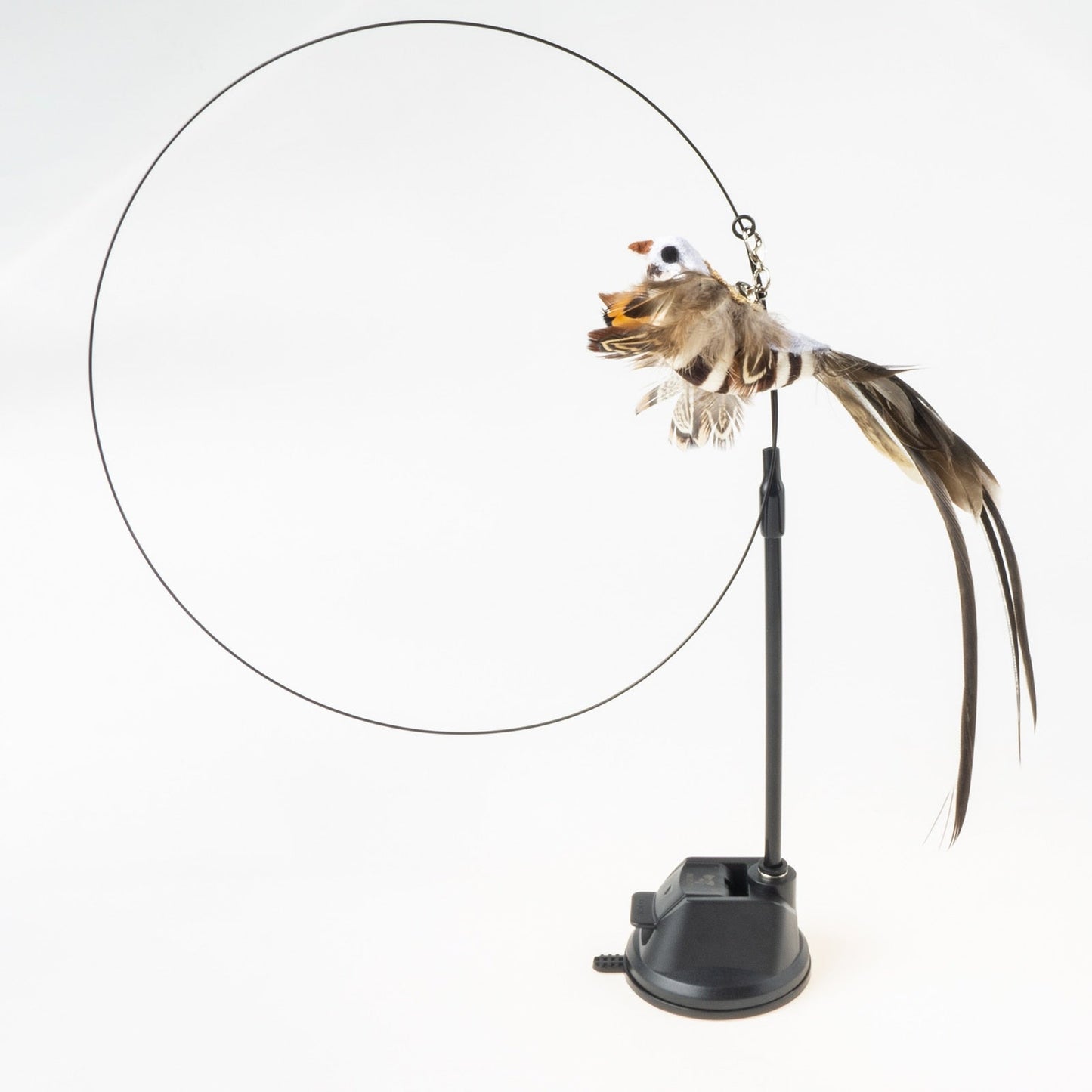 Handfeed Bird/Feather Pet Toys