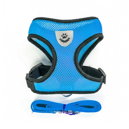 Peet Harness with Lead Leash