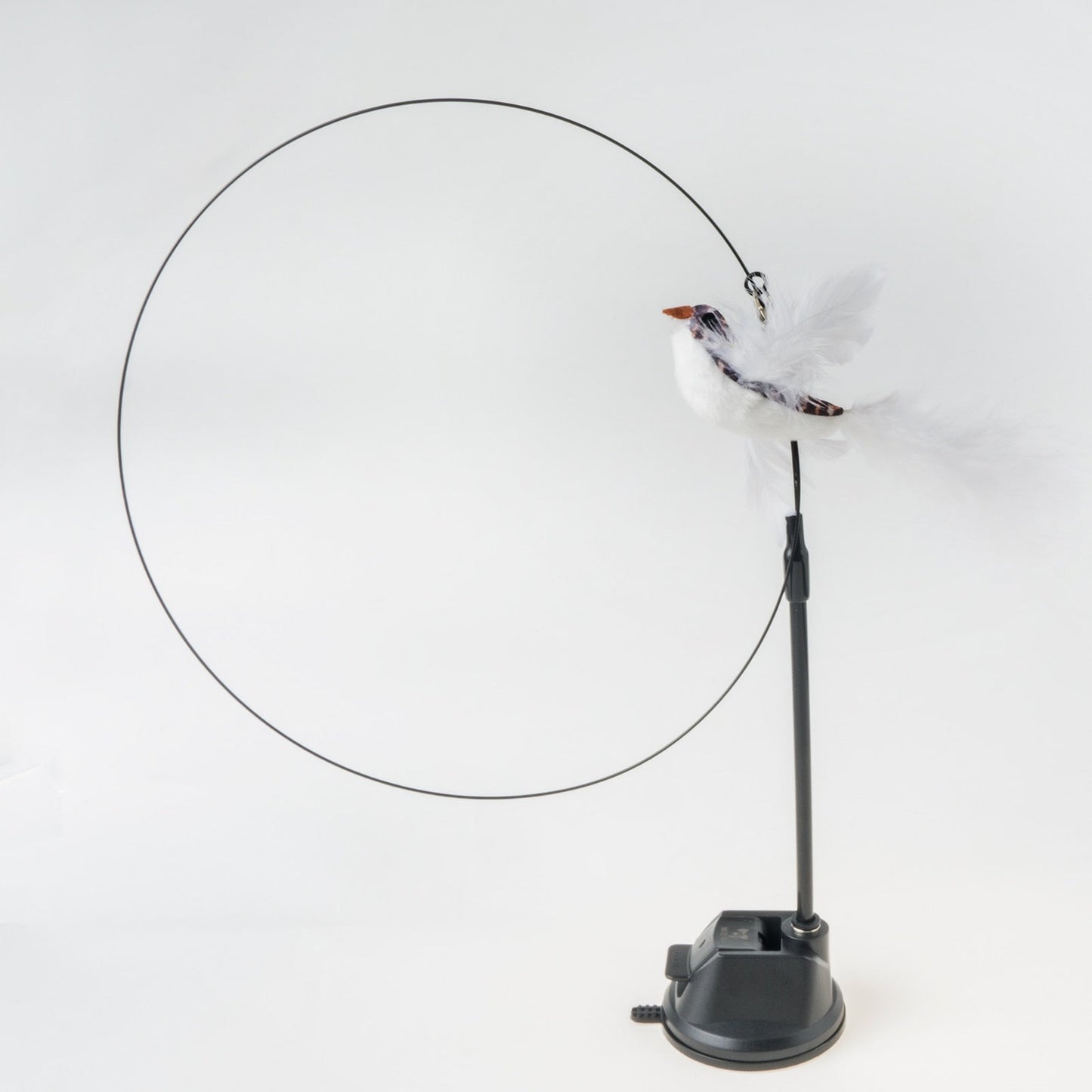 Handfeed Bird/Feather Pet Toys
