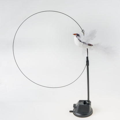 Handfeed Bird/Feather Pet Toys