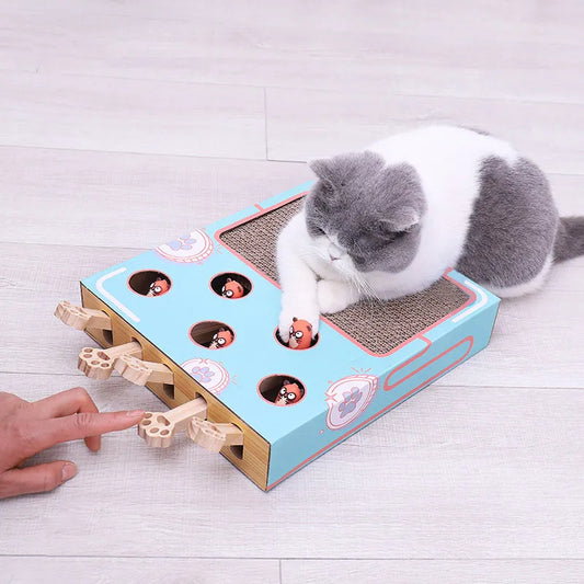 Cat Playing Toy