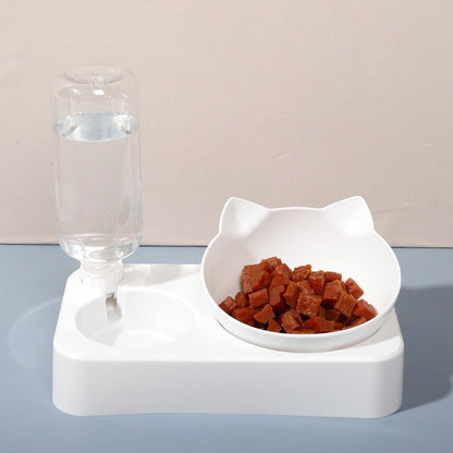 Automatic food and water dispenser