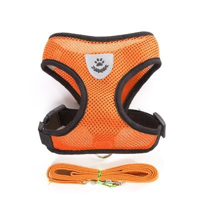 Peet Harness with Lead Leash
