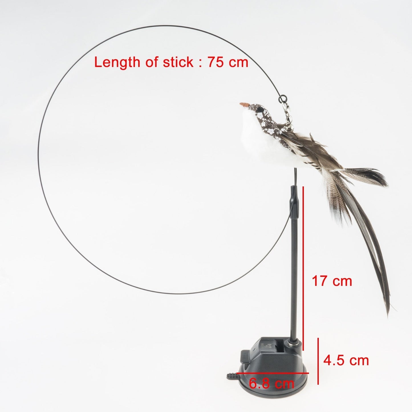 Handfeed Bird/Feather Pet Toys