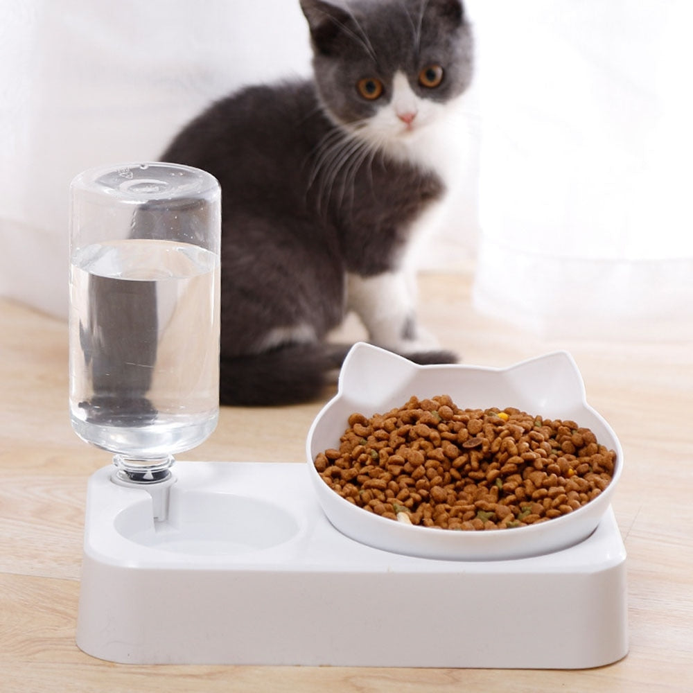Automatic food and water dispenser