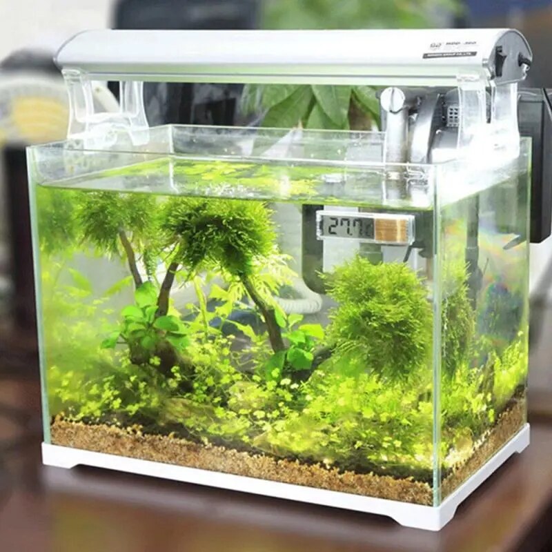 Electronic LCD Digital Aquarium Thermometer
