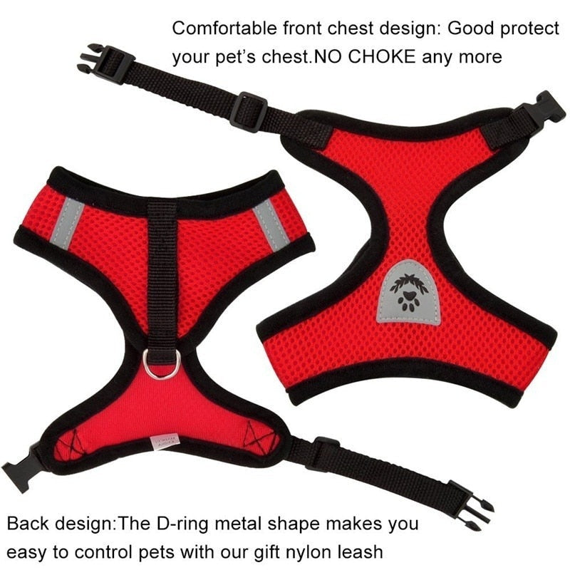 Peet Harness with Lead Leash