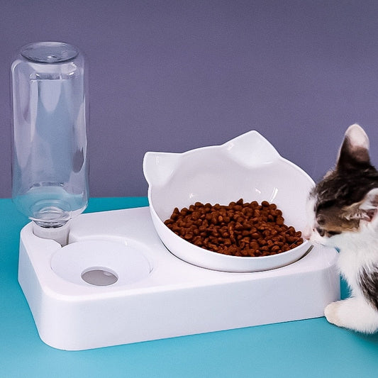 Automatic food and water dispenser