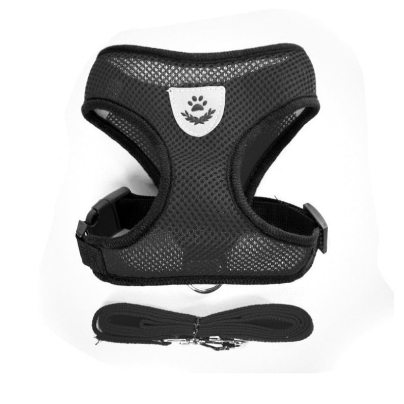 Peet Harness with Lead Leash