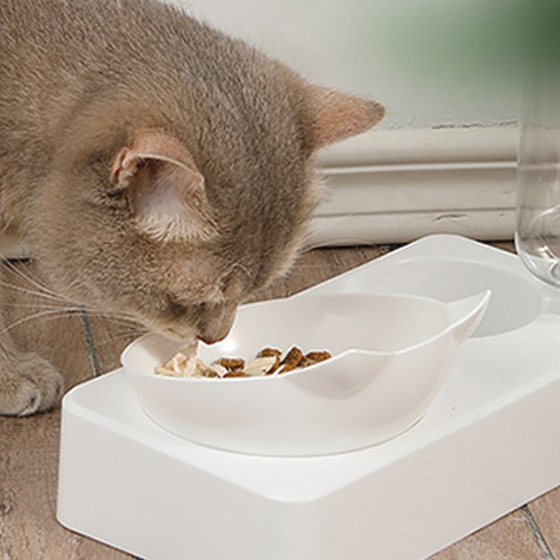 Automatic food and water dispenser