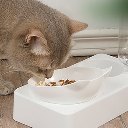 Automatic food and water dispenser