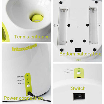 Automatic dog tennis ball launcher