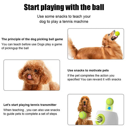 Automatic dog tennis ball launcher