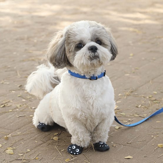 Lil monster boots